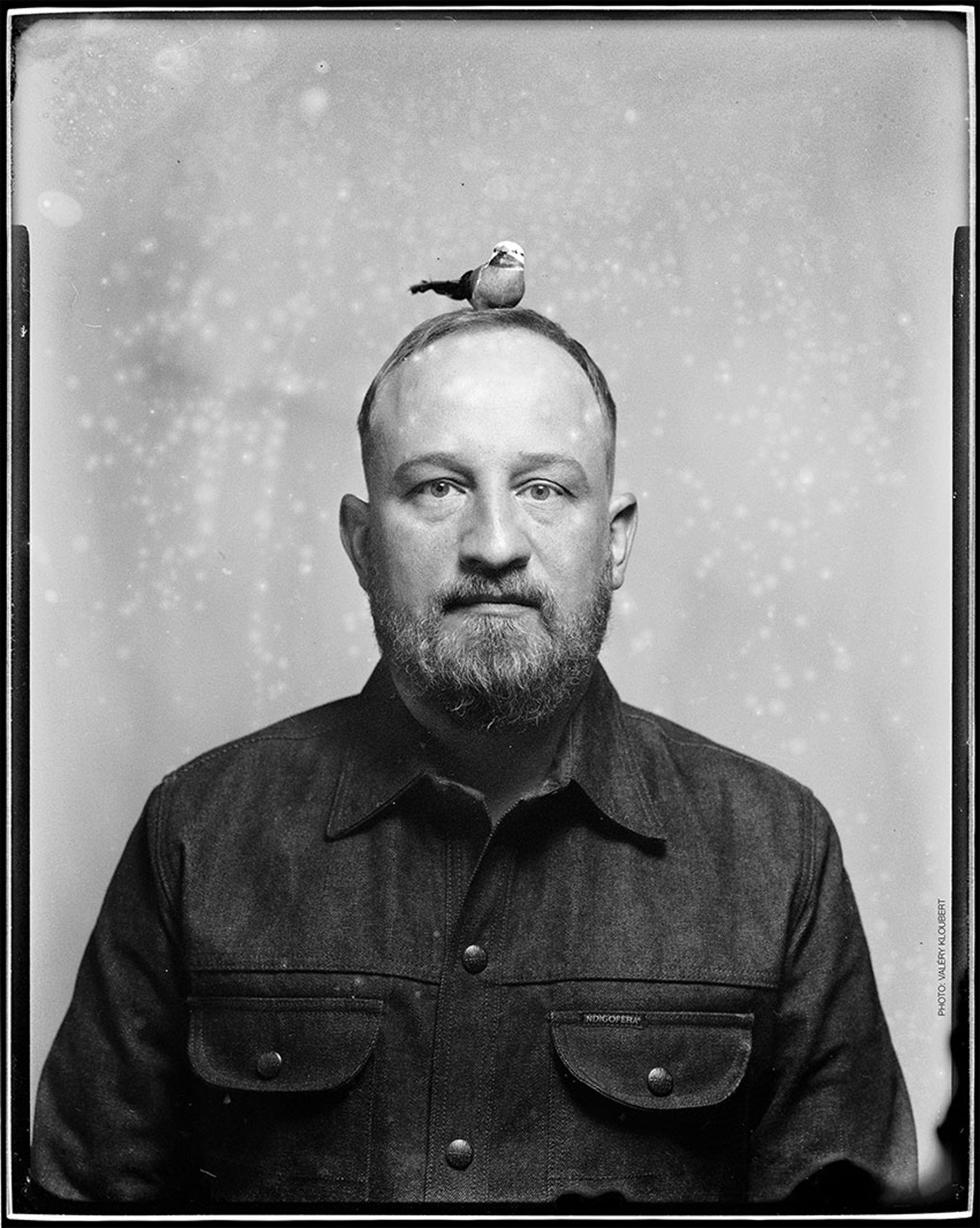 Philip Simon - Meisenhorst